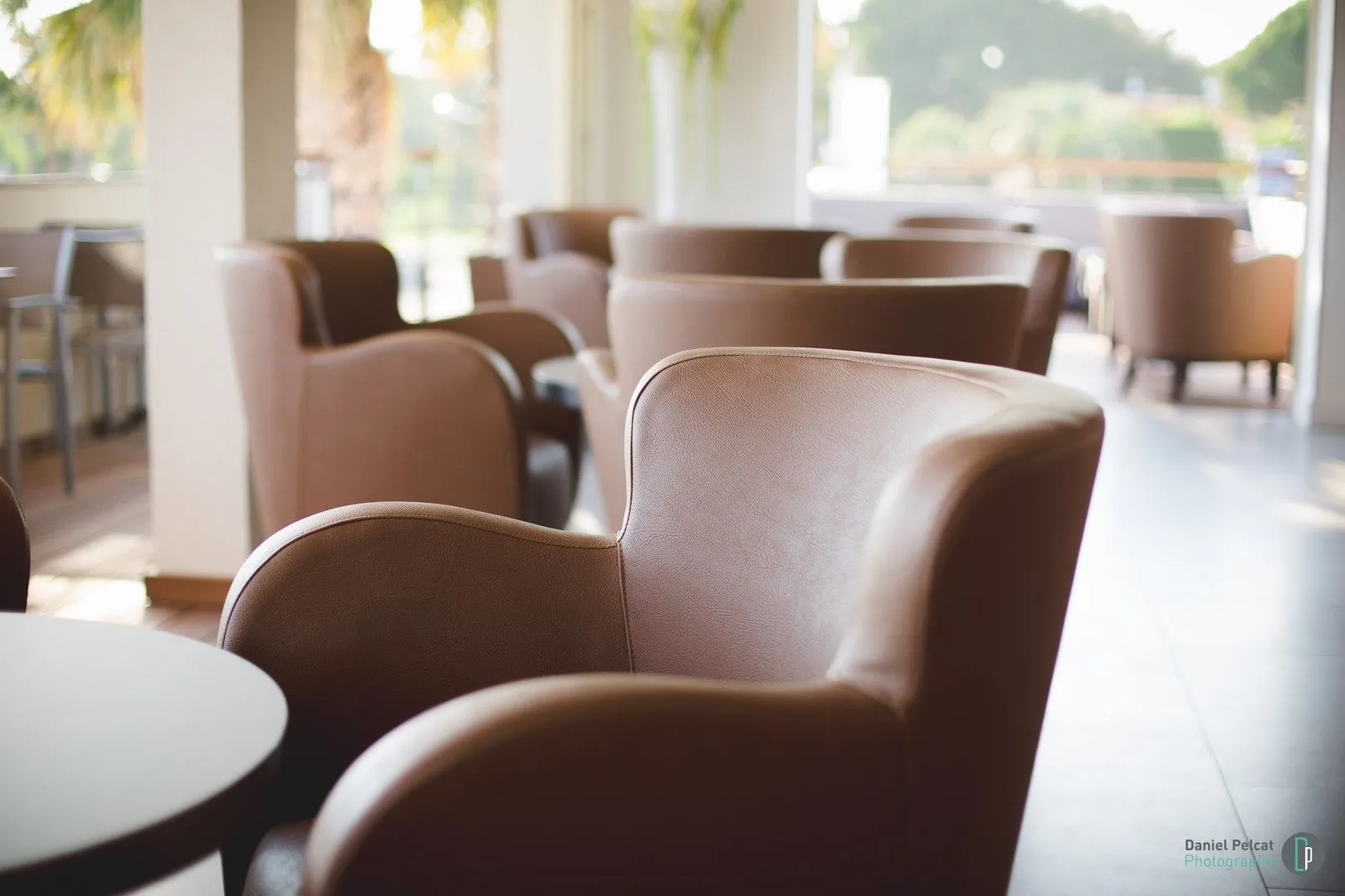 Fauteuils en cuir dans un salon lumineux