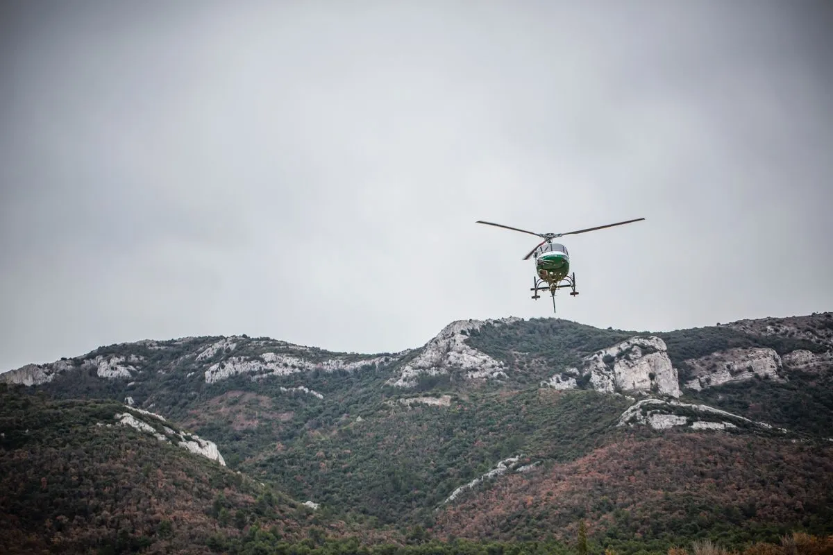 Hélicoptère survolant une colline boisée